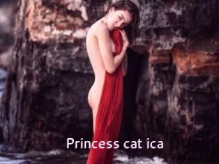 Princess_cat_ica