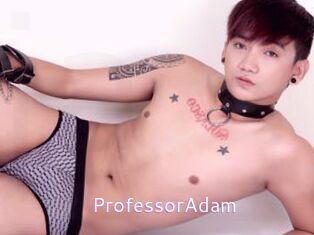 ProfessorAdam