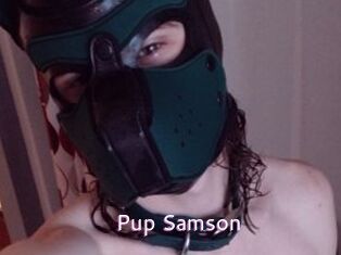 Pup_Samson