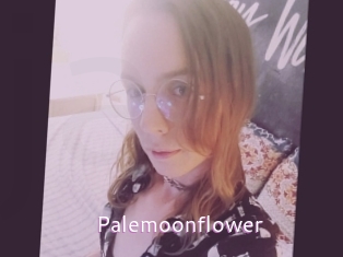 Palemoonflower