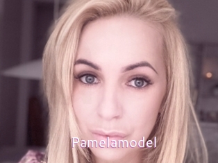 Pamelamodel