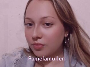 Pamelamullerr