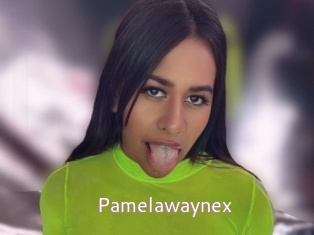 Pamelawaynex