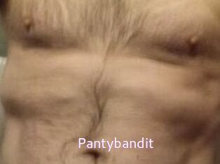 Pantybandit