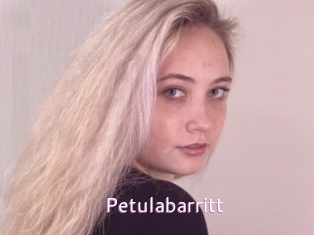 Petulabarritt