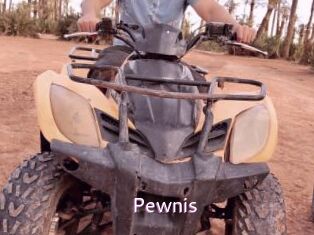 Pewnis