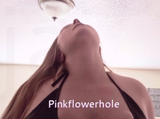 Pinkflowerhole