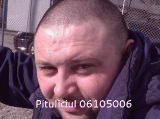 Pituliciul-06105006