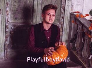 Playfulboydavid