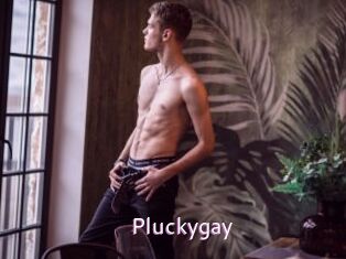 Pluckygay