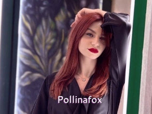 pollinafox Just Amateurs