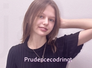 Prudencecodringt