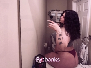 Pytbanks