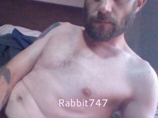 Rabbit747