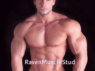 RavenMuscleStud