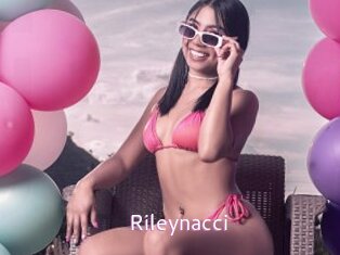 Rileynacci