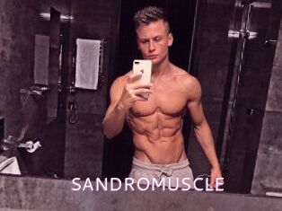 SANDRO_MUSCLE