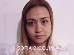 SOFIA_BIGCUMLW