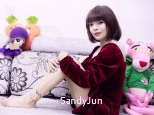 SandyJun