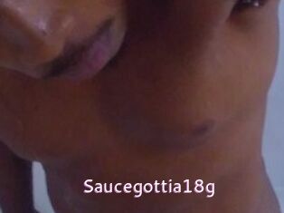 Saucegottia18g