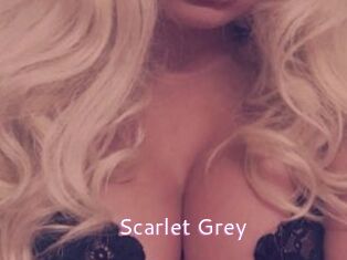 Scarlet_Grey