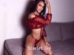 Scarlet_Jay