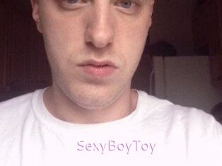 SexyBoyToy