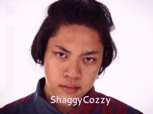 ShaggyCozzy