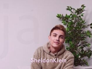 SheldonKlein