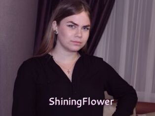 ShiningFlower