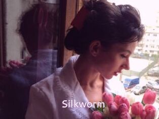 Silkworm