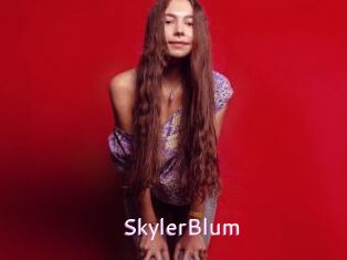 SkylerBlum