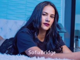 SofiaBridge