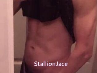 StallionJace