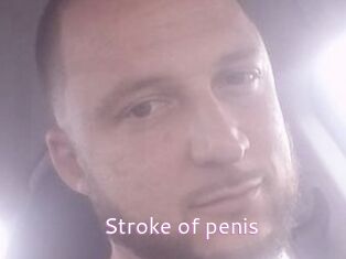 Stroke_of_penis