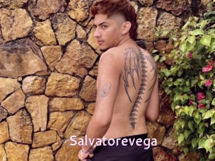 Salvatorevega