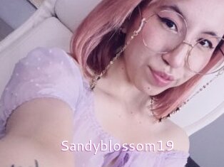 Sandyblossom19