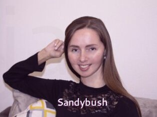 Sandybush