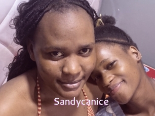 Sandycanice