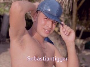 Sebastiantigger