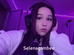 Selenagambee