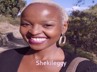 Shekileggy