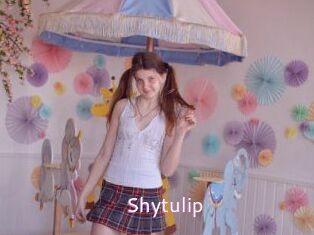 Shytulip