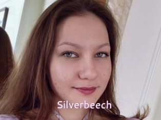 Silverbeech