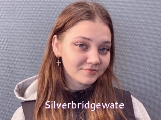 Silverbridgewate