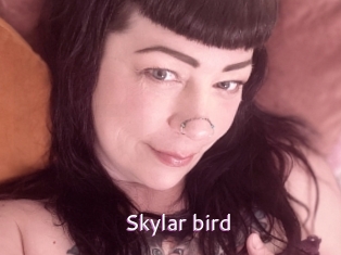 Skylar_bird