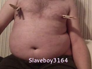 Slaveboy3164