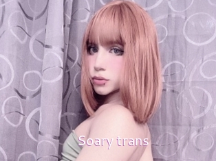 Soary_trans