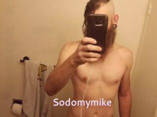 Sodomymike