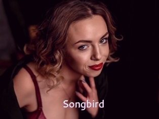 Songbird